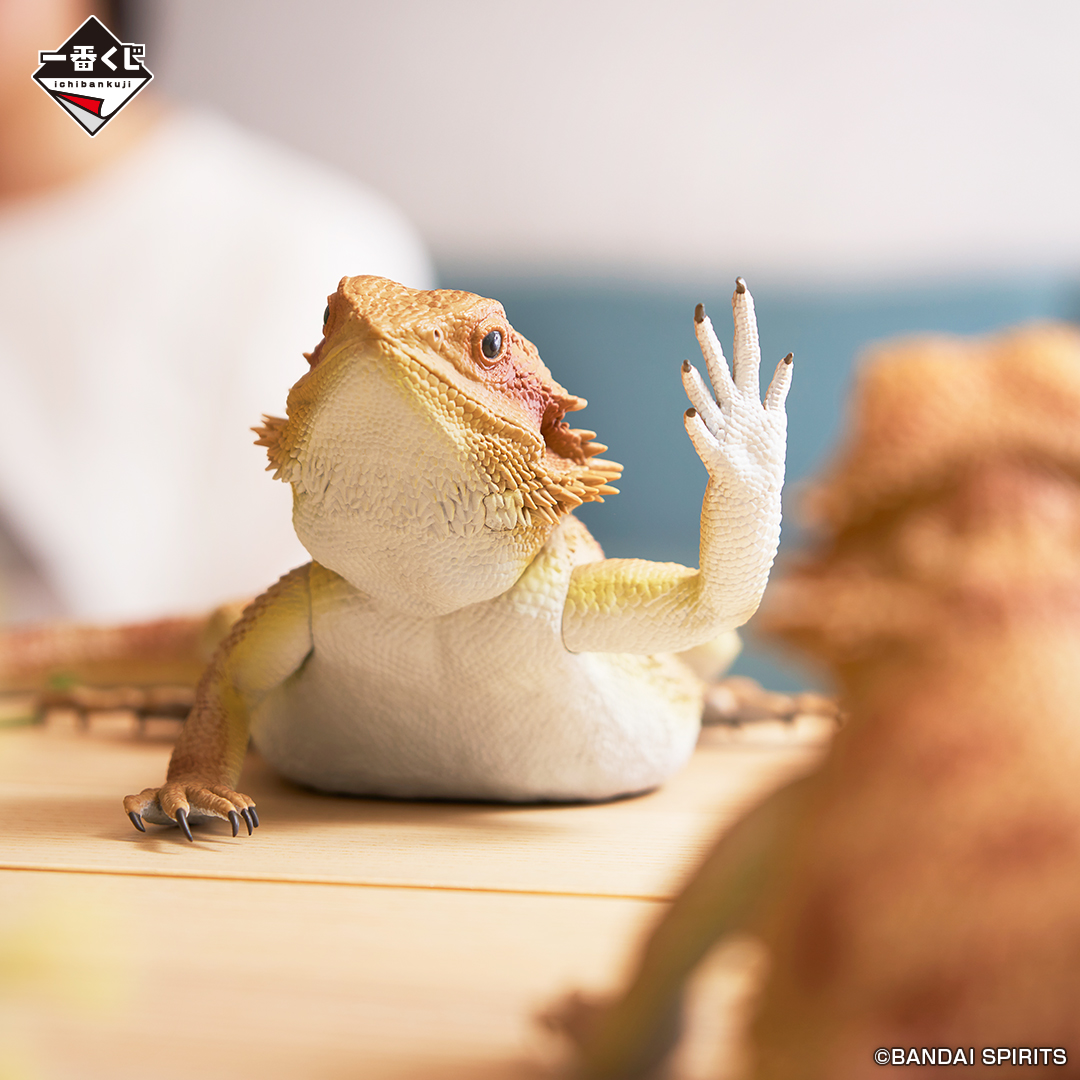 一番くじ 爬虫類＆両生類～Tiny Friends～｜一番くじ倶楽部｜BANDAI