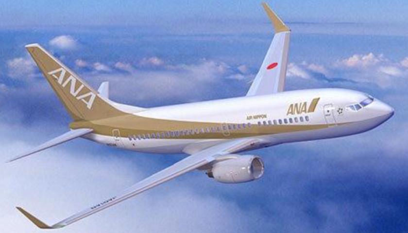 希少】ANA B737 Aviationtag ミックスカラー 全日本空輸（ANA