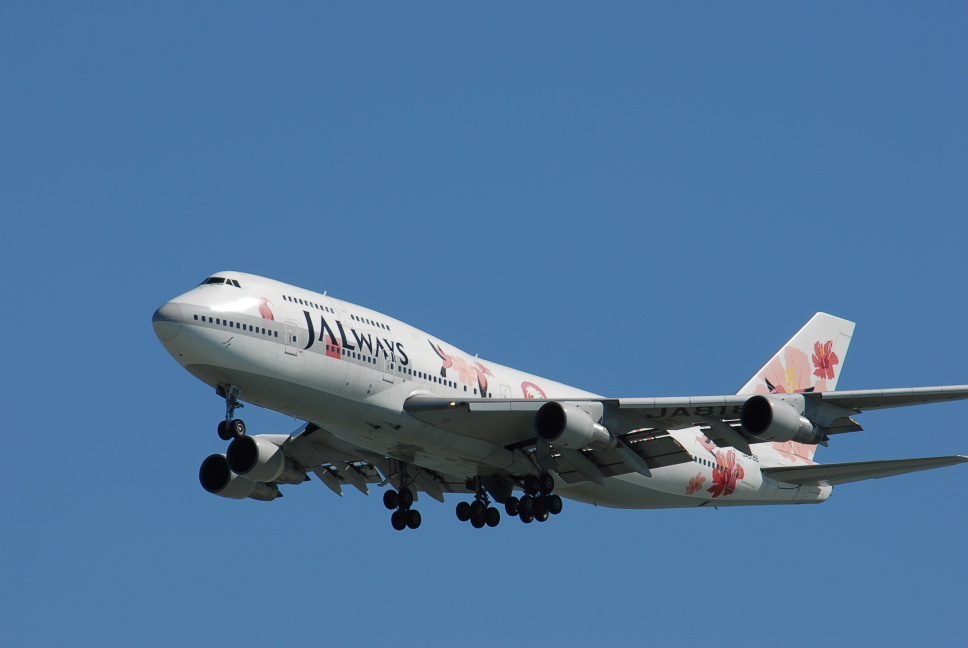 懐かしい「リゾッチャ号」 カラフルなJAL特別塗装機を振り返る