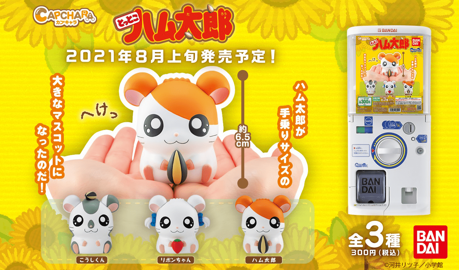 カプキャラ とっとこハム太郎」発売決定！ | ハム太郎（とっとこハム