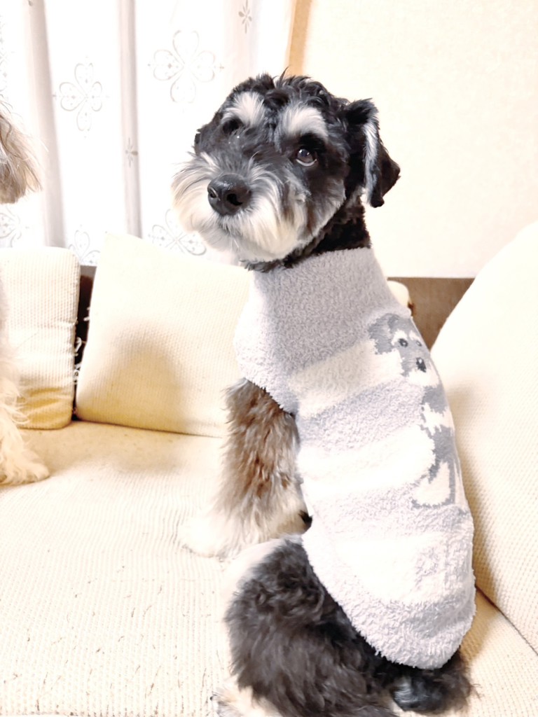 CAT&DOG】ベビモコシュナウザージャガードプルオーバーの口コミ一覧