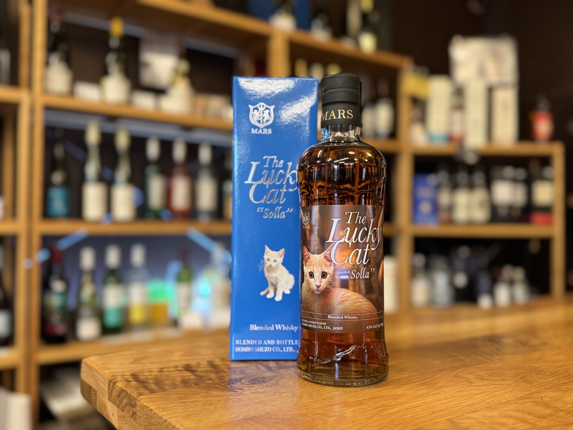 ザ・ラッキーキャット ソラ The Lucky Cat Solla The Lucky Cat Solla