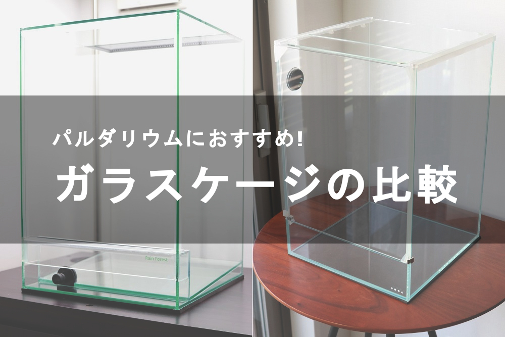 RainForest製パルダリウム水槽ケース3045 少しなら値下げ交渉受けます