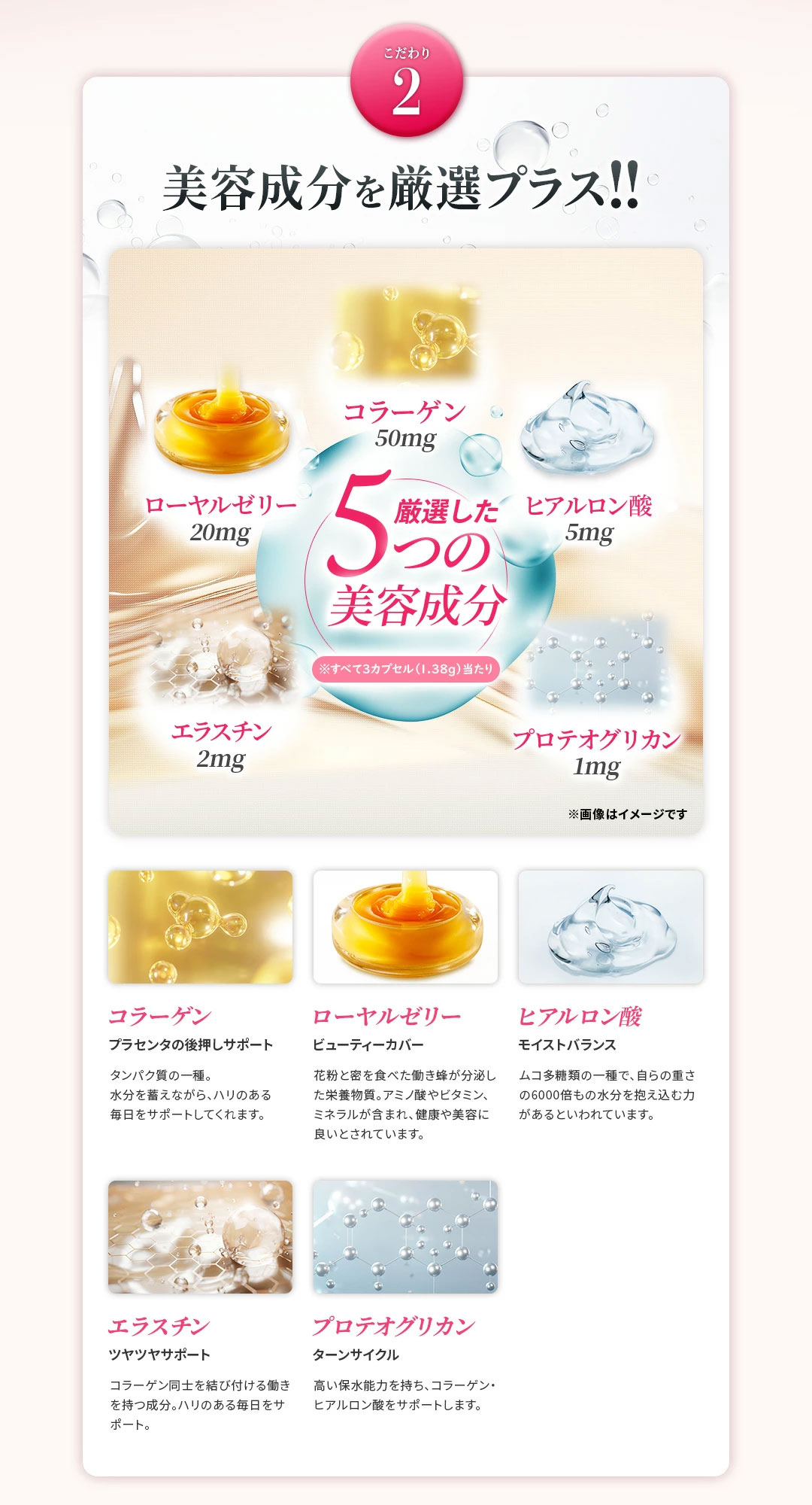 値引】五臓六腑カプセル90粒¥13,500円を 【公式通販】