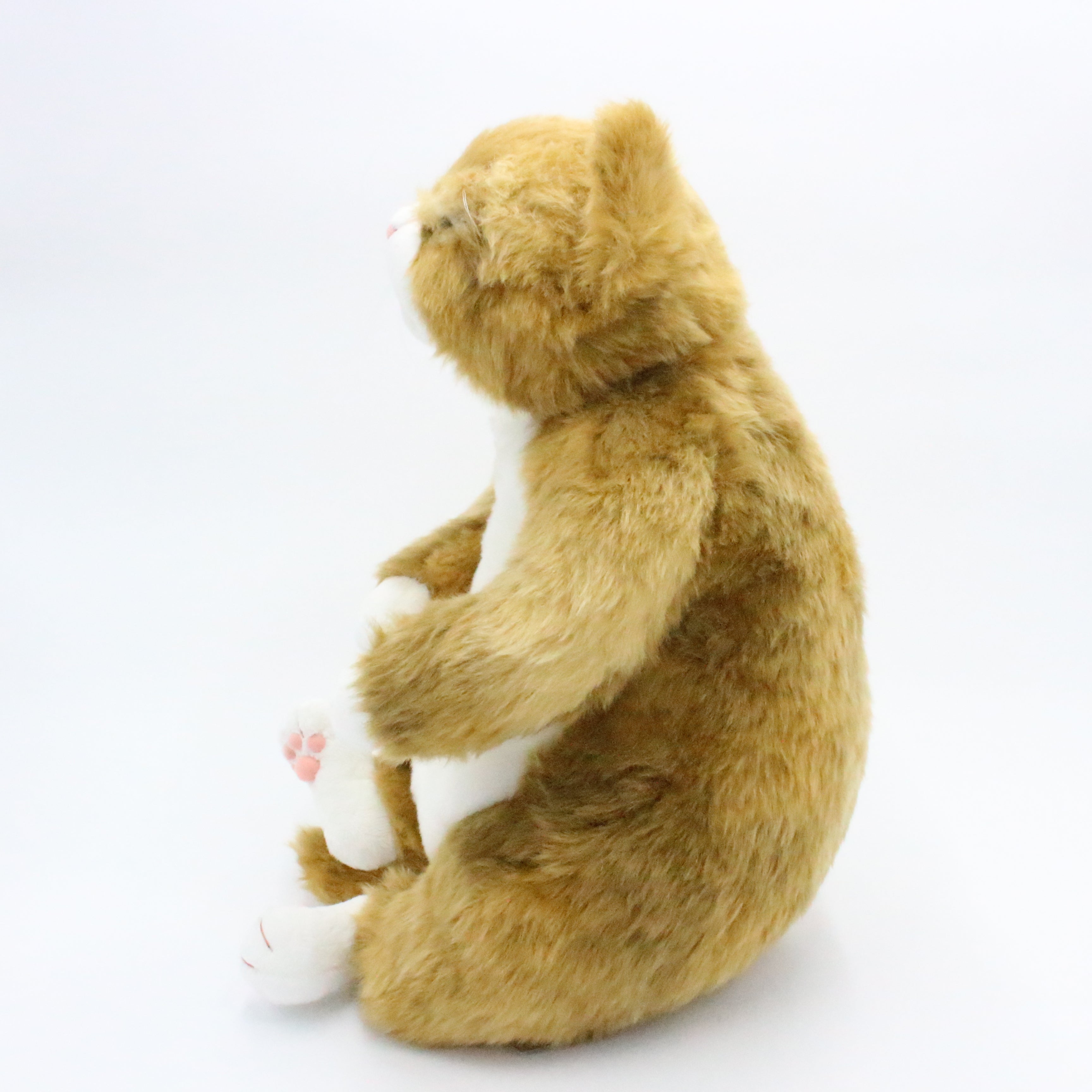 お振込み後の発送商品】Cuddly(カドリー) わさ美 – 鎌倉ねこサロン