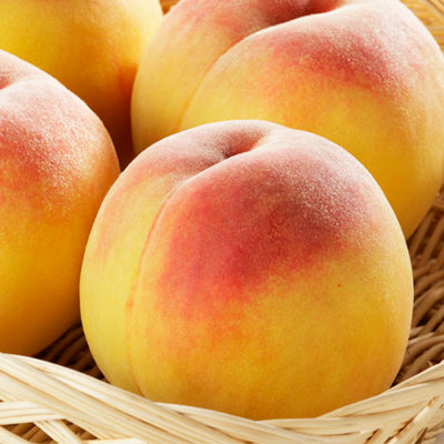 新潟直送計画】新潟県産 黄桃（贈答用・家庭用） – 石田フルーツガーデン
