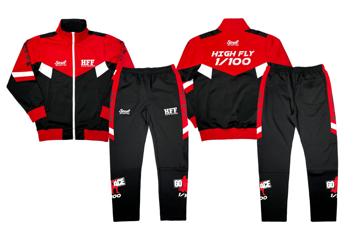 THE ALFEE 2025秋ツアーグッズ ジャージ Lサイズ THE ALFEE 秋ツアー