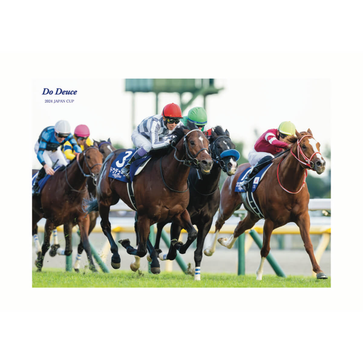 競馬 JRA ドウデュース ジャパンカップ ポスター B1 オリジナルポスト