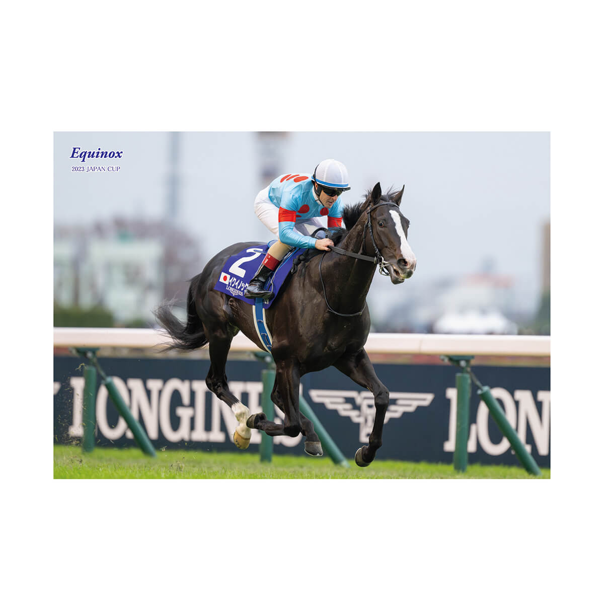 JRAポスター イクイノックス Amazon.co.jp: JRAヒーロー列伝ポスター