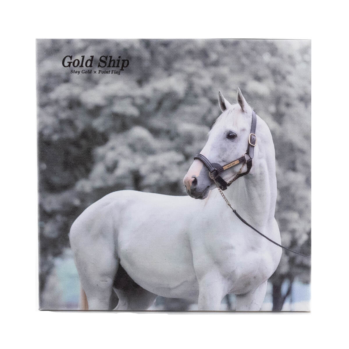 馬のある静物2 馬のある静物2 馬のある静物2 21