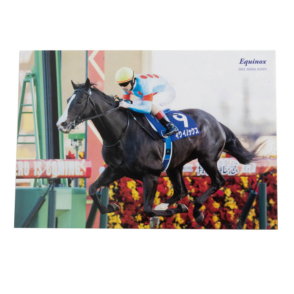 2022年有馬記念イクイノックスミニゼッケン ルメール騎手直筆サイン