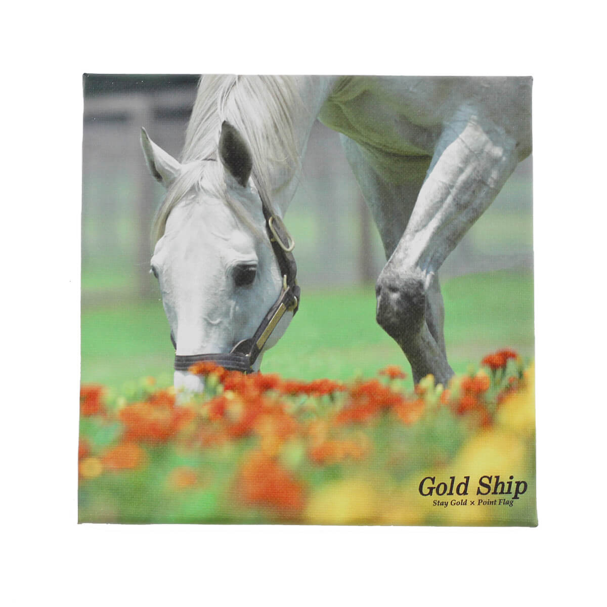 キャンバスボード ゴールドシップ spring - 競馬グッズの通販サイト