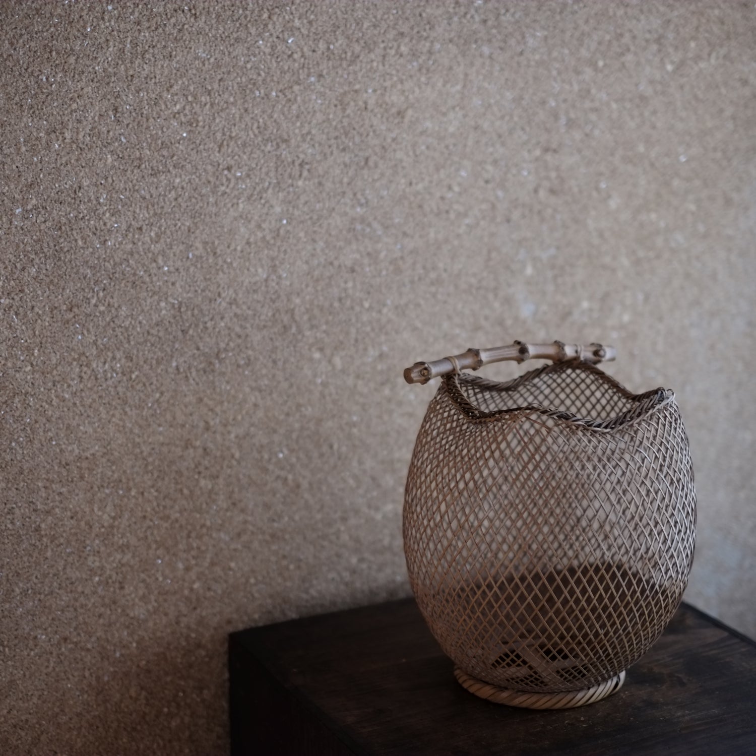 DSCF6794_1500x.jpg?v=1725668559