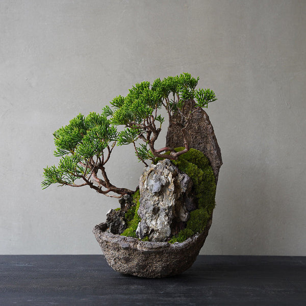 3-1_2_600x600_crop_center.jpg?