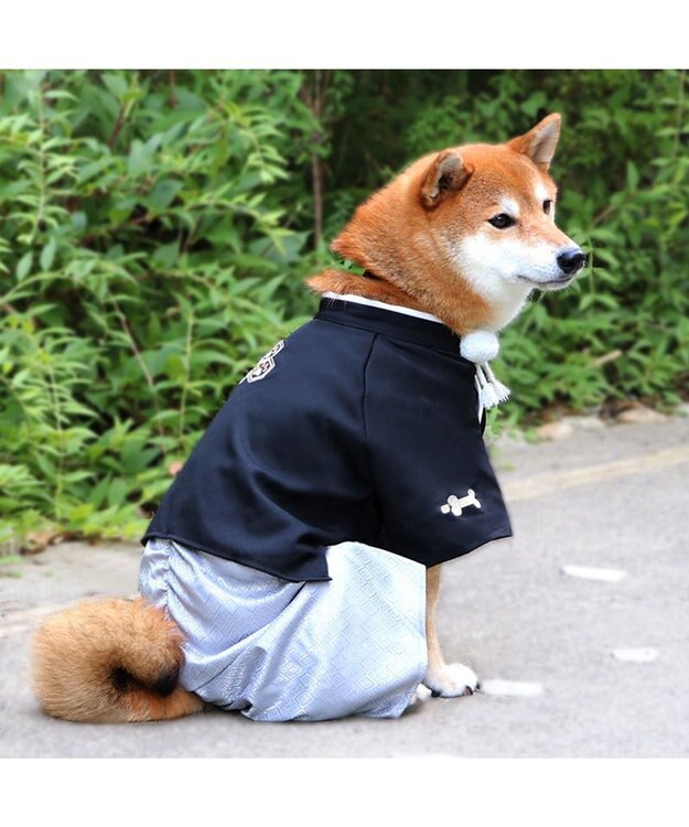 ペットパラダイス 紋付袴 《シルバー》 中型犬 大型犬 / PET PARADISE