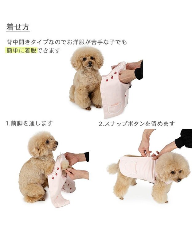 ペットパラダイス やさしいベスト 《錨 刺繍》 背中開き 小型犬 / PET