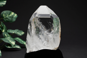 レムリアンシードクォーツ - 吉祥寺の天然石販売「elfhame