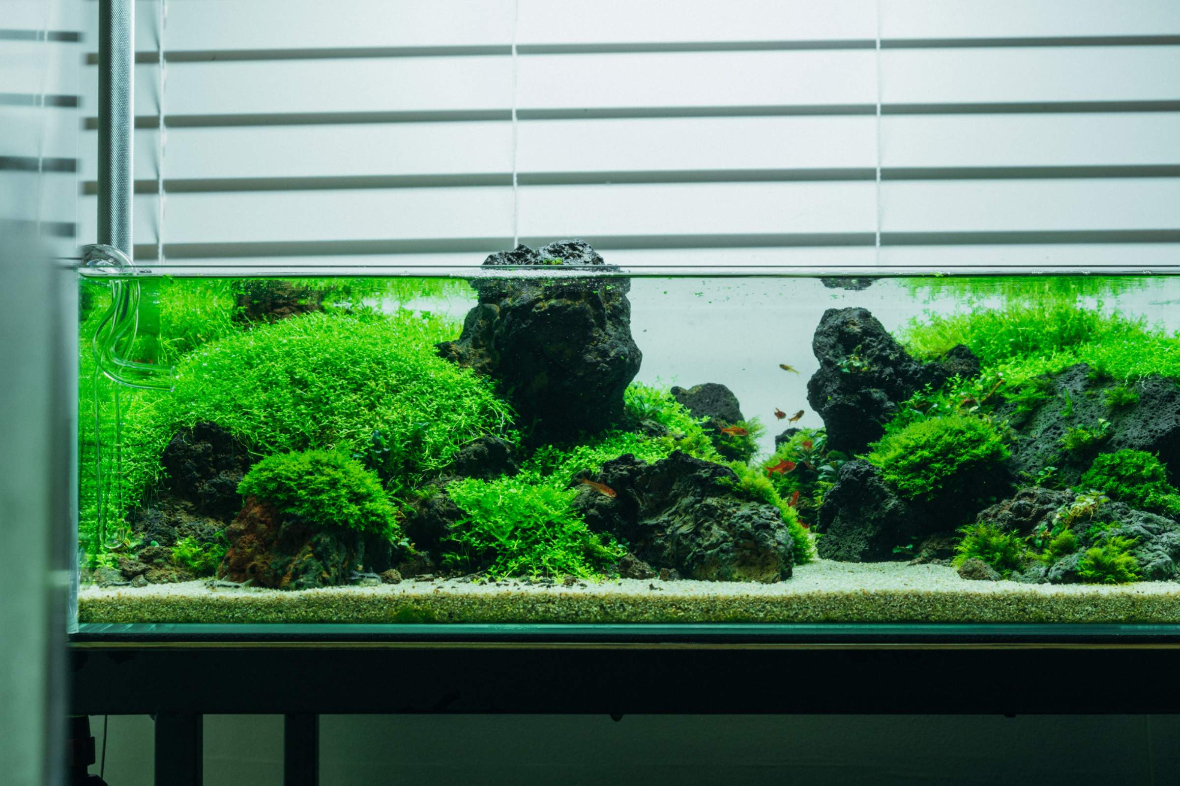 水草 GrassyCore LED Aquarium Lighting New GrassyCore LED With