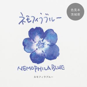 ネモフィラブルー ◇茨城【ジョイフル本田×SAILOR オリジナル 万年筆
