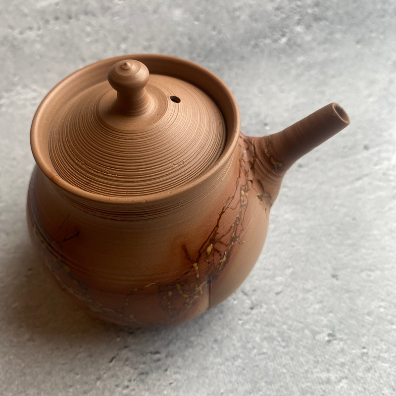 藻掛宝瓶（150ml）｜作家 山田勇太郎（常滑 茶器） – nokaze｜陶器、和