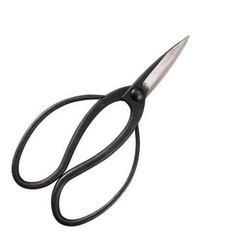 株式会社喜久和 / 安来鋼植木鋏 5648/Garden shears