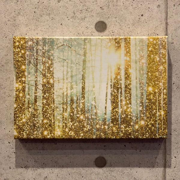 ✨極希少✨Oliver Gal オリバーガル キャンバス 絵画 76✖️51 ✨極希少