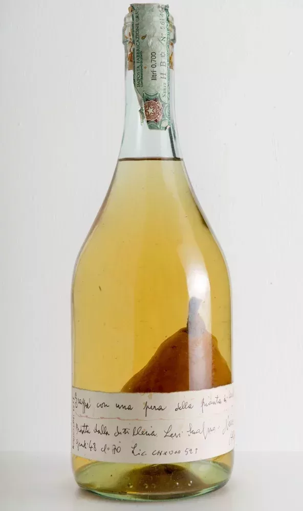 Buy Romano Levi - year 2005 - Grappa containing Whole Conserved