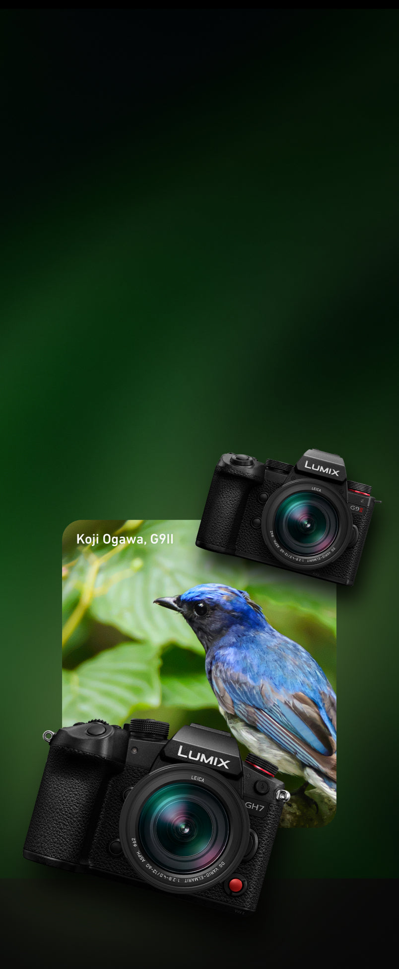 LUMIX G Series - Mirrorless Micro Four Thirds Cameras