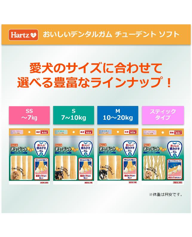 チューデント 20袋 チューデント 20袋 チューデント 20袋 チューデント