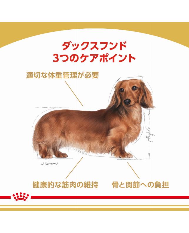 取り寄せ品】ロイヤルカナン ダックスフンド 子犬用 1.5kg