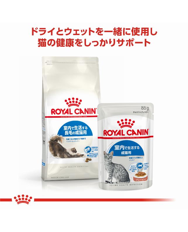 ロイヤルカナン インドア ロングヘアー 400g（3182550739344）｜猫