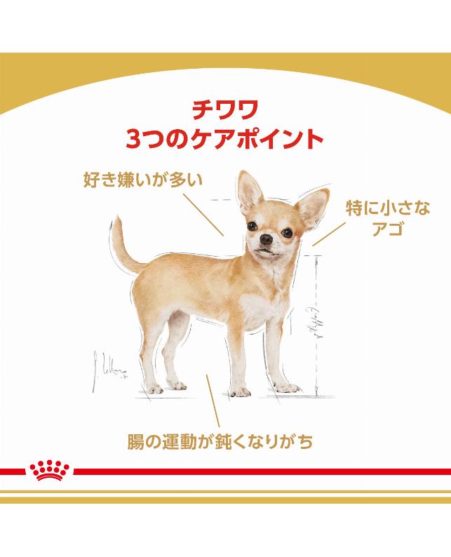 ロイヤルカナン チワワ 中・高齢犬用 800g（3182550824453）｜犬フード