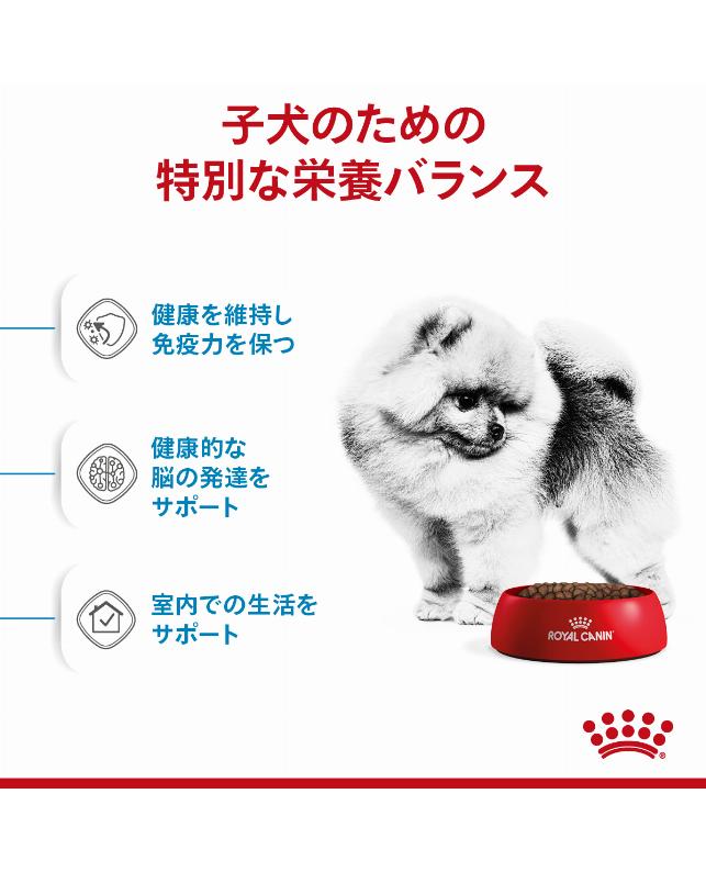 ロイヤルカナン ミニインドアパピー 2kg（3182550849609）｜犬フード