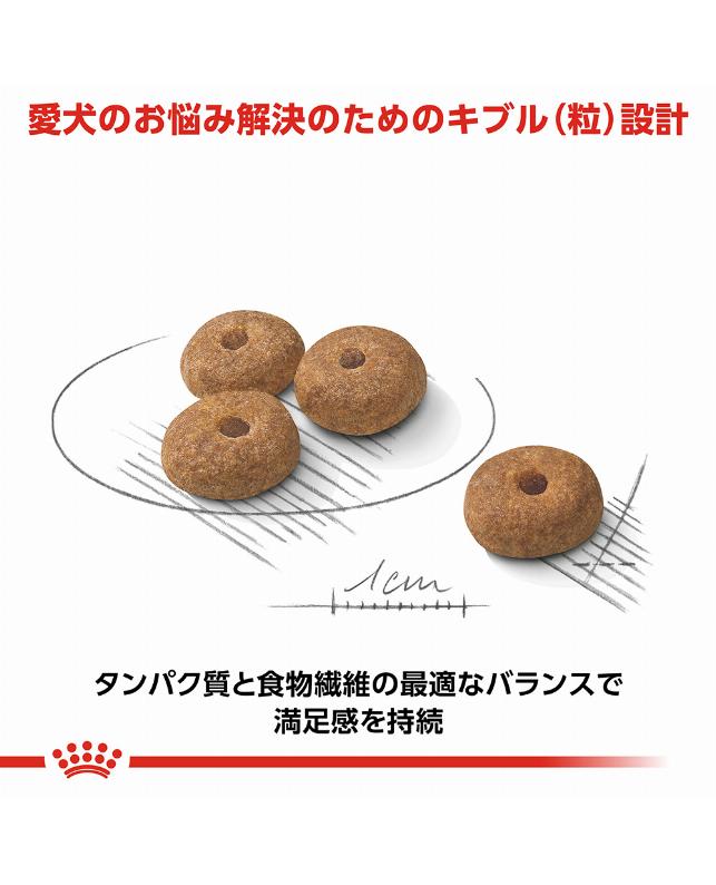 ロイヤルカナン ミニステアライズド 2kg（3182550902458）｜犬フード