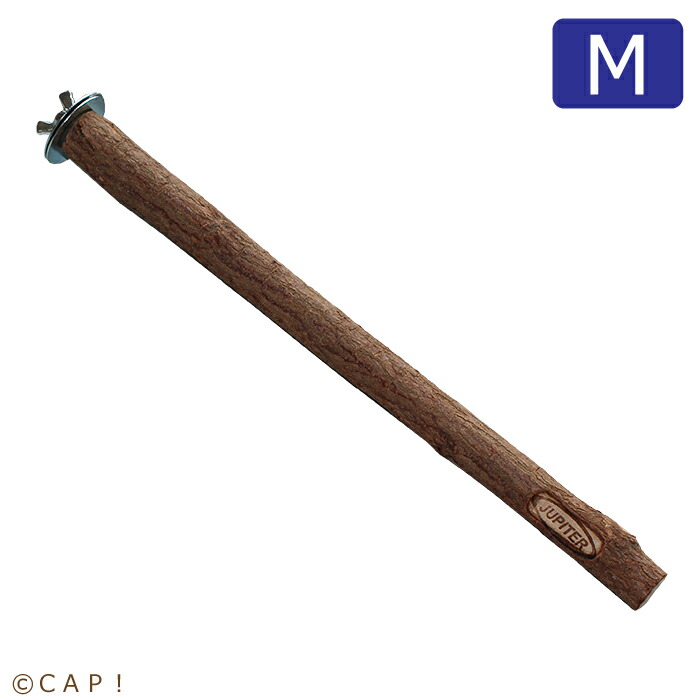 楽天市場】CAP! 止まり木【BIRDMORE】備長炭止まり木☆ : CAP！