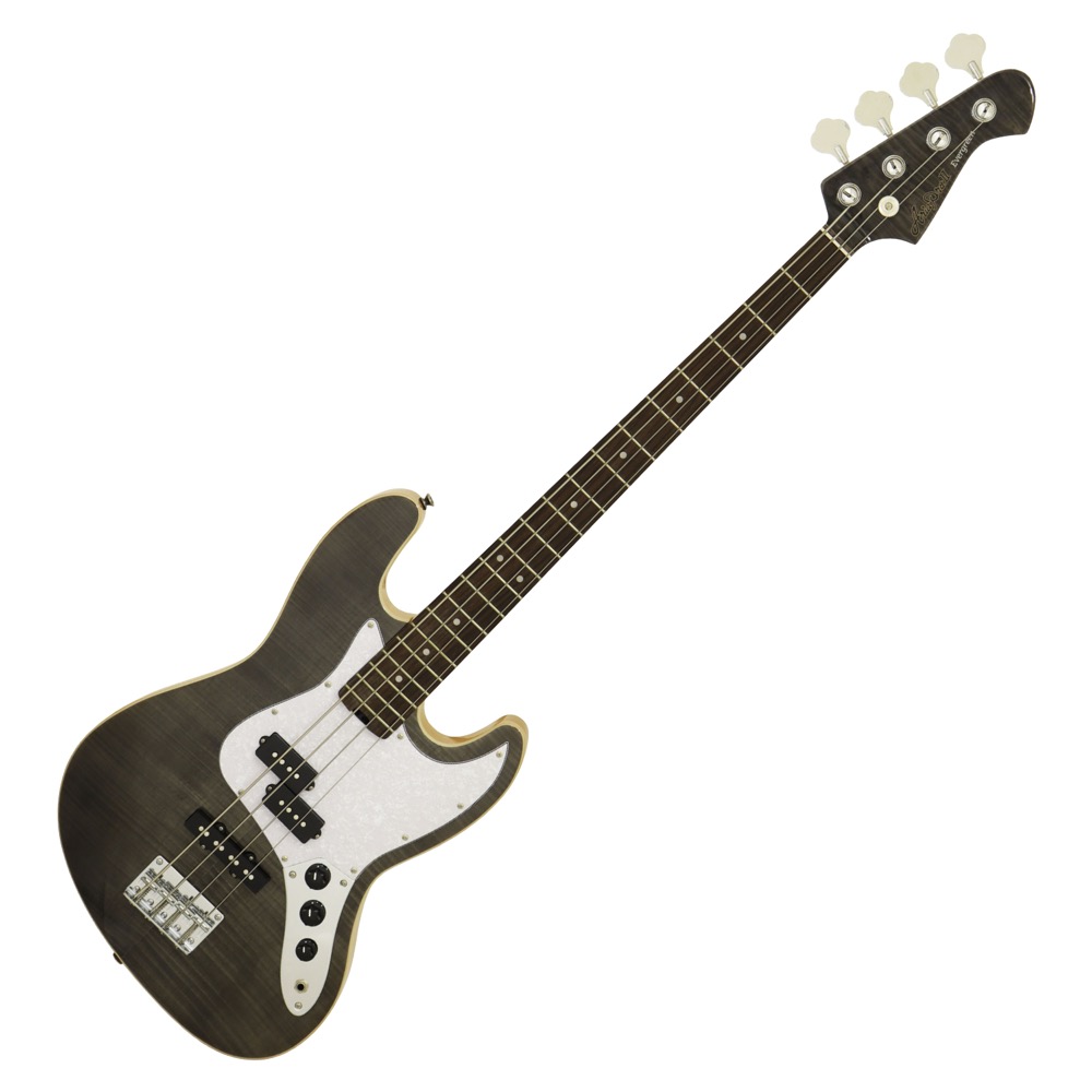 AriaProII STB-AE200 LRBL 専用ケース付 AriaProII STB-AE200 LRBL