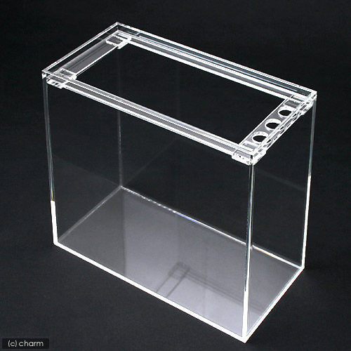 楽天市場】水槽 アクリル水槽 ラクシス No．25 （400×200