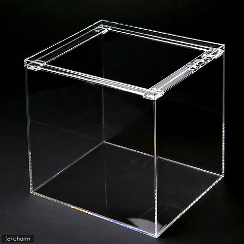 楽天市場】水槽 アクリル水槽 ラクシス No．12 （300×250