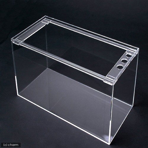 楽天市場】水槽 アクリル水槽 ラクシス No．28 （400×250