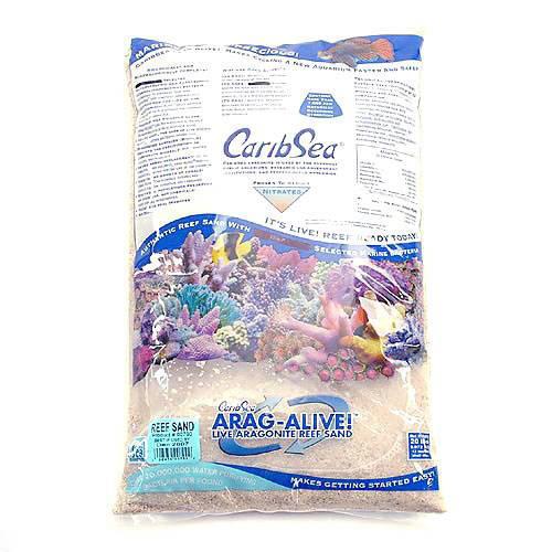 楽天市場】カミハタ 海道達磨 外掛け式プロテインスキマー