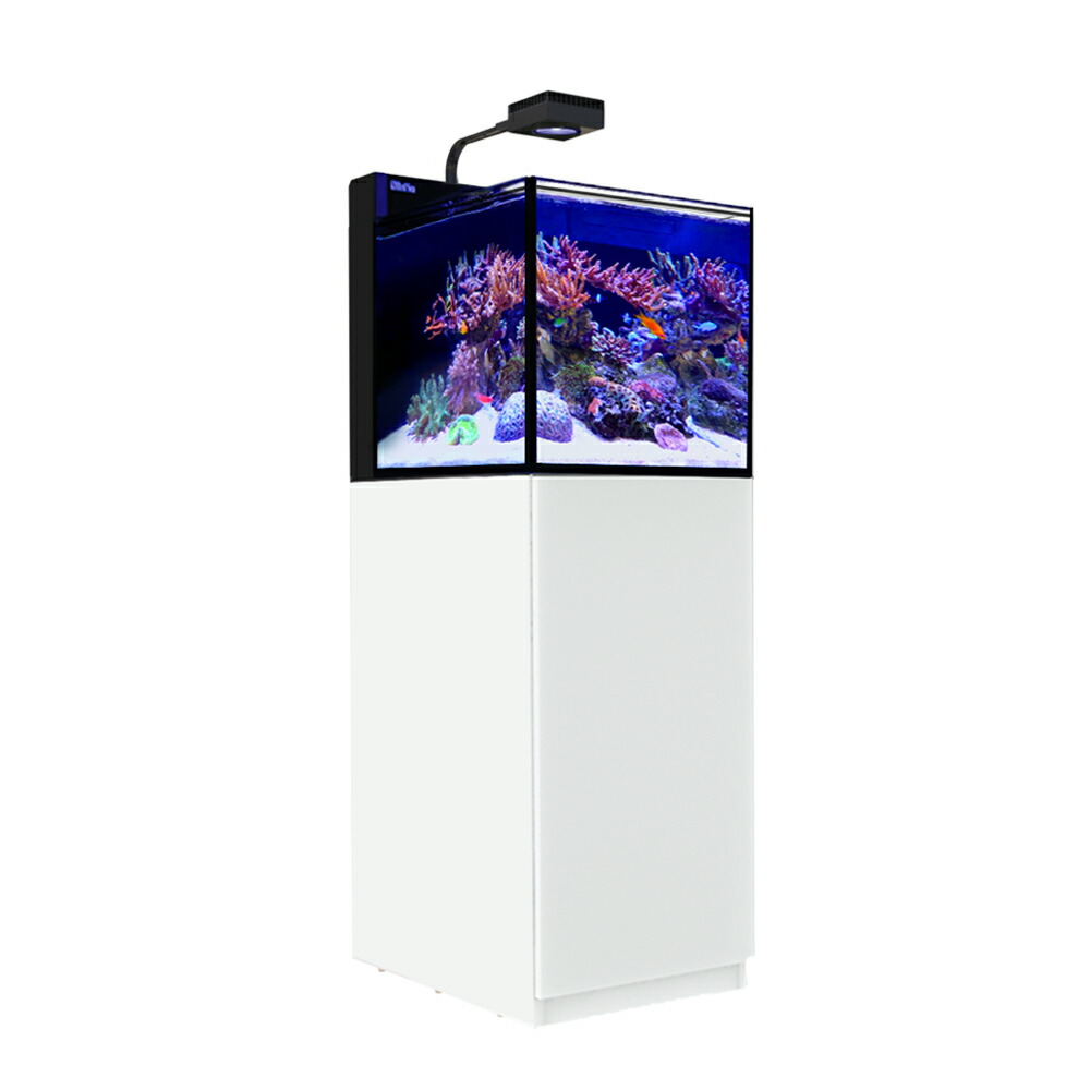 楽天市場】レッドシー MAX NANO G2 CUBE セット ホワイト