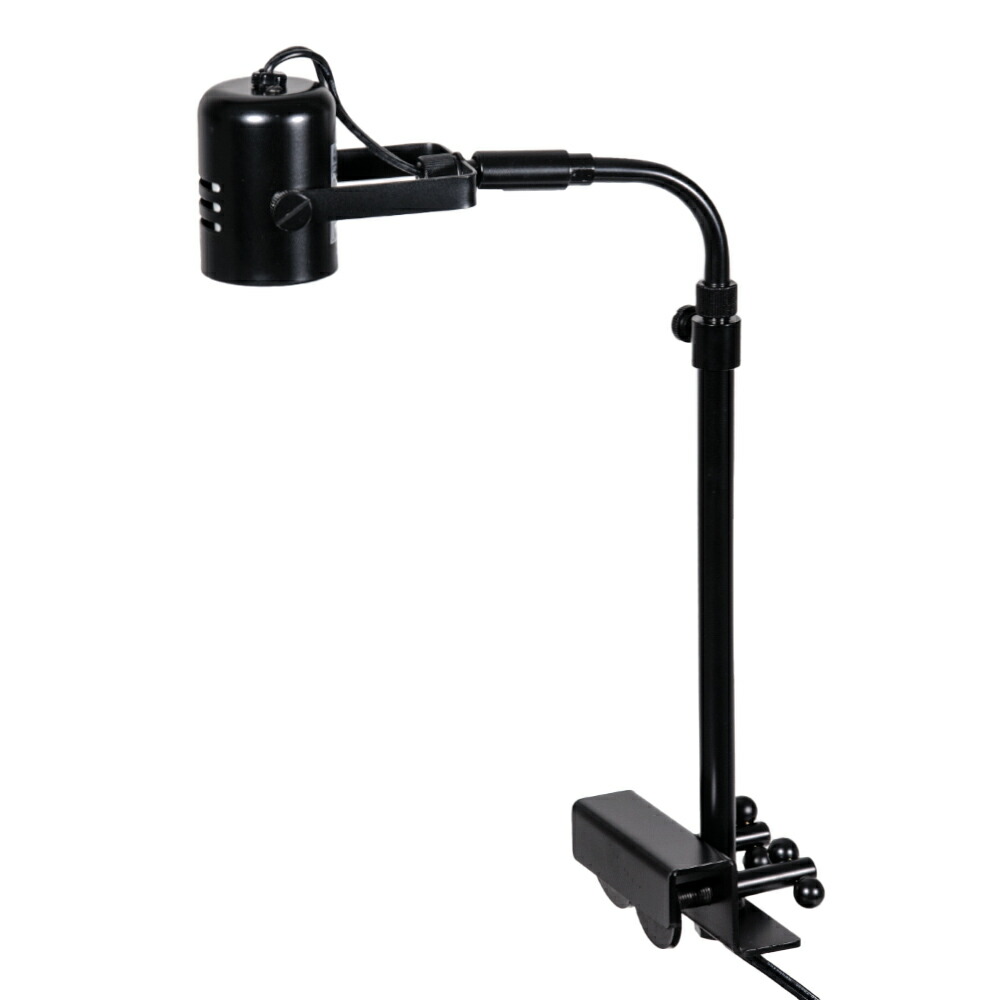 楽天市場】アウトレット品 ボルクスジャパン Grassy Solar