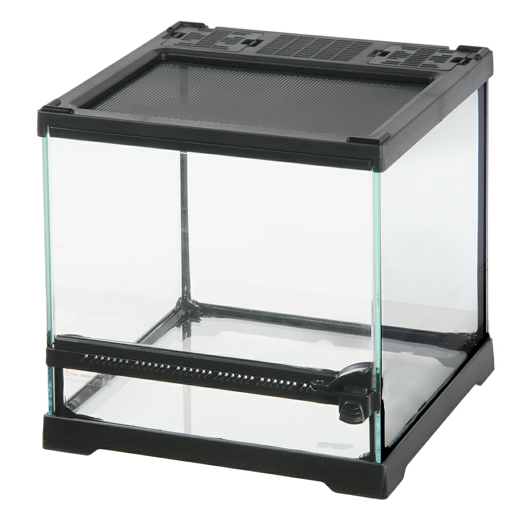 楽天市場】RainForest パルダリウムケージプロ