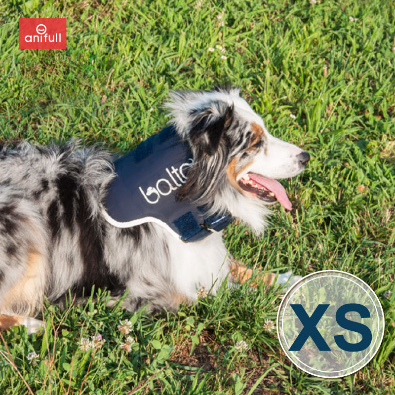 楽天市場】【anifull 公式】 アニサポ ショルダースリーブ 小型犬向け