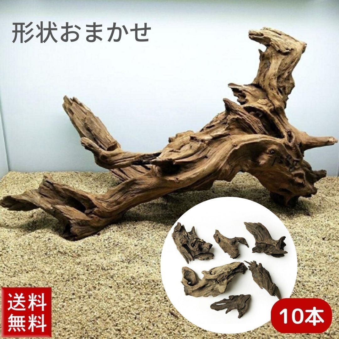 楽天市場】【ランキング1位6冠達成】アクアリウム 流木 ーVer2ー 形状