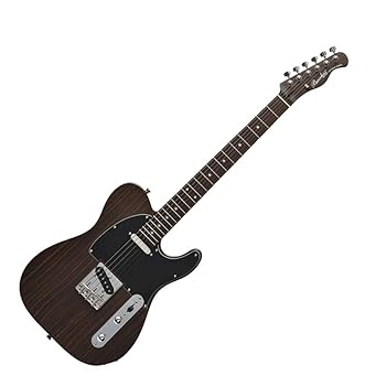 ジャンク扱い Brian by Bacchus テレキャスターカスタムモデル エレキ