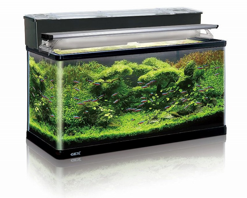 楽天市場】GEX グラステリア アグス AGS OF-450オーバーフロー水槽
