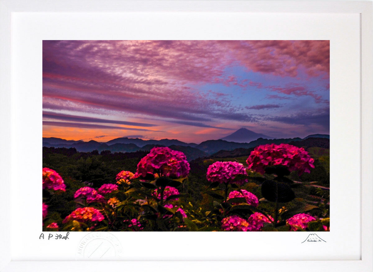 油絵 油彩画 あじさい アジサイ 紫陽花 額縁入り 肉筆サインあり 油絵