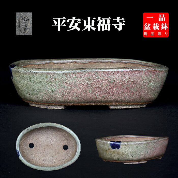 楽天市場】盆栽鉢 「東福寺白釉雲足長方鉢」 植木鉢 初代 平安東福寺