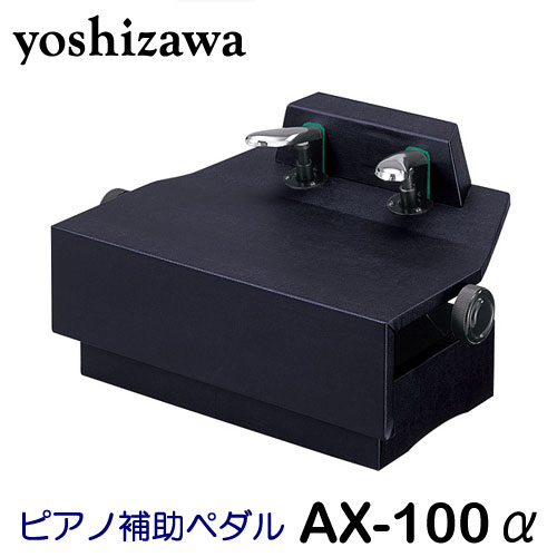 ax100a.jpg